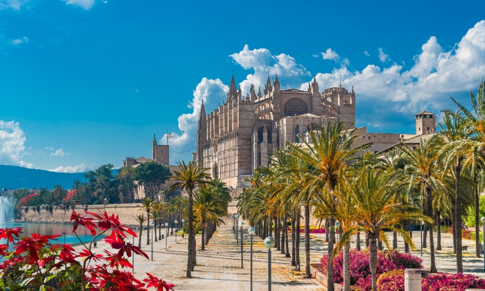 The stunning Gothic Cathedral of Santa Maria in Palma de Mallorca, surrounded by vibrant palm trees and colourful gardens.